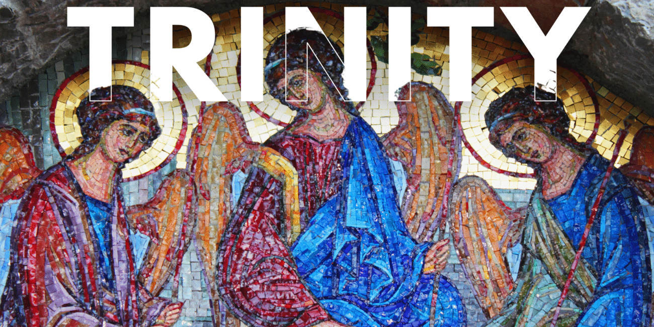 TRINITY – THE 11TH WEEK IN ORDINARY TIME – Chosen to Serve